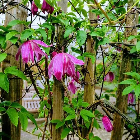 De Langenbrinck Eerlijk Heerlijk Overnachten In Blokhut En Ingerichte Tent Breedenbroek