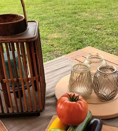 Lodge De Langenbrinck Eerlijk Heerlijk Overnachten In Blokhut En Ingerichte Tent