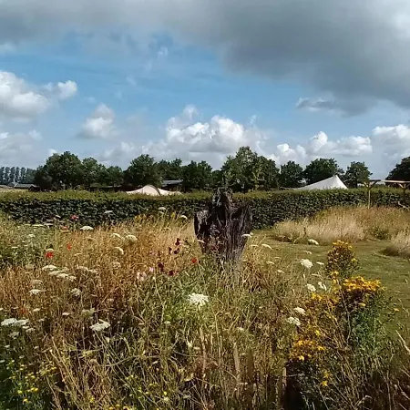 De Langenbrinck Eerlijk Heerlijk Overnachten In Blokhut En Ingerichte Tent Lodge