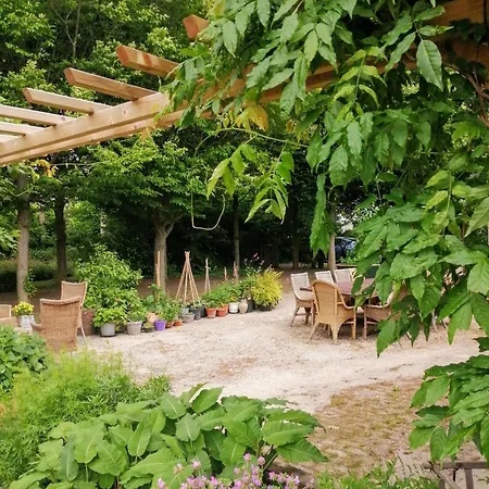 Lodge De Langenbrinck Eerlijk Heerlijk Overnachten In Blokhut En Ingerichte Tent