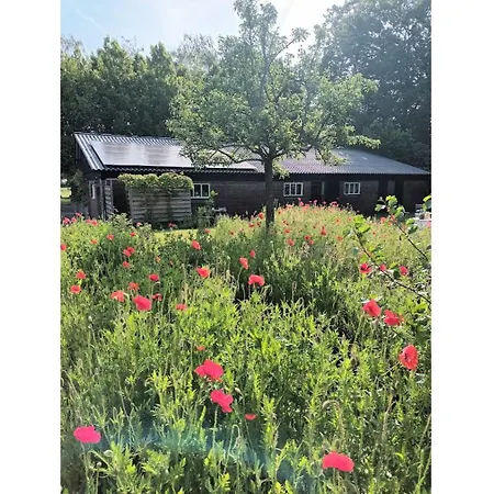 Lodge De Langenbrinck Eerlijk Heerlijk Overnachten In Blokhut En Ingerichte Tent Breedenbroek