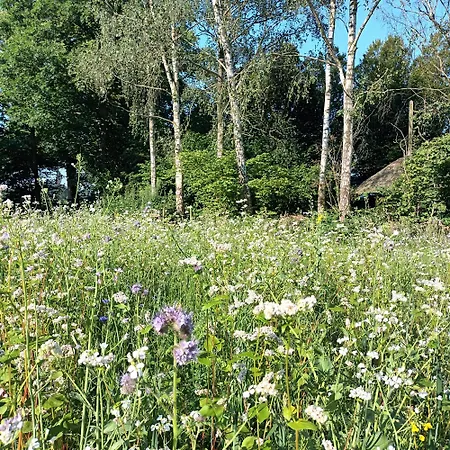 De Langenbrinck Eerlijk Heerlijk Overnachten In Blokhut En Ingerichte Tent Lodge *