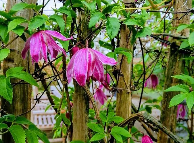 De Langenbrinck Eerlijk Heerlijk Overnachten In Blokhut En Ingerichte Tent Breedenbroek
