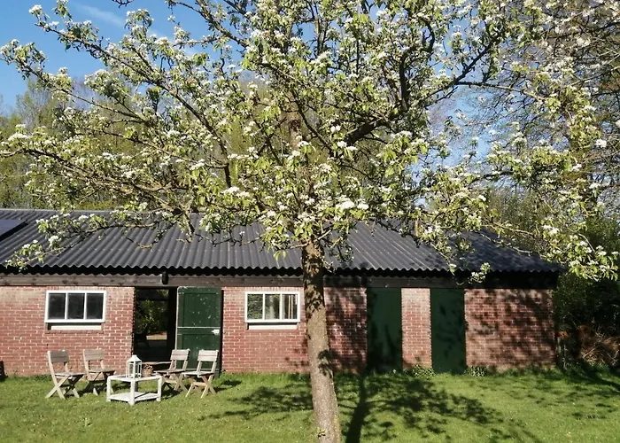 De Langenbrinck Eerlijk Heerlijk Overnachten In Blokhut En Ingerichte Tent *