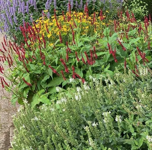 De Langenbrinck Eerlijk Heerlijk Overnachten In Blokhut En Ingerichte Tent بيت خشبي *