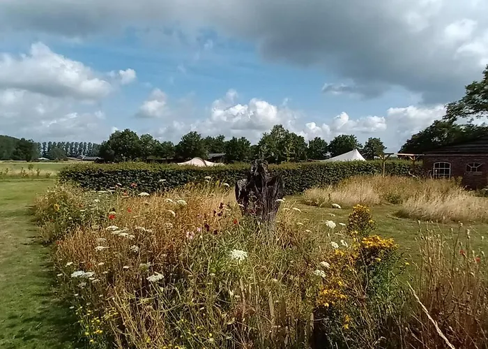 De Langenbrinck Eerlijk Heerlijk Overnachten In Blokhut En Ingerichte Tent بيت خشبي