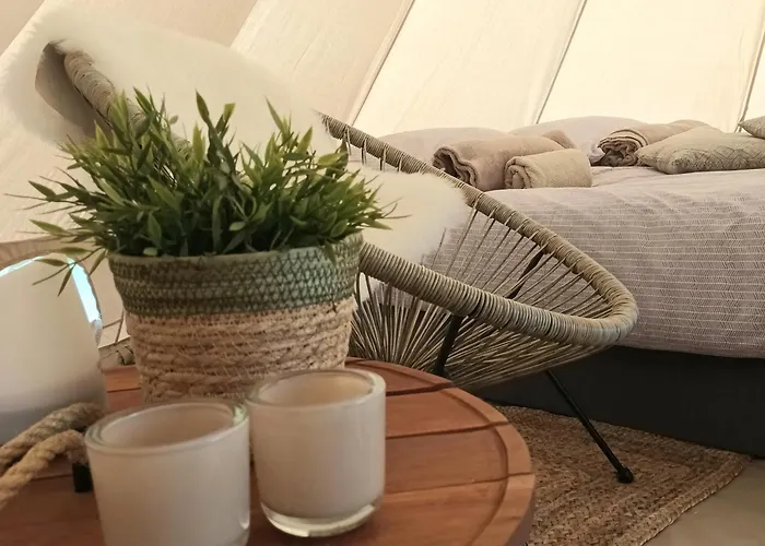 De Langenbrinck Eerlijk Heerlijk Overnachten In Blokhut En Ingerichte Tent بيت خشبي