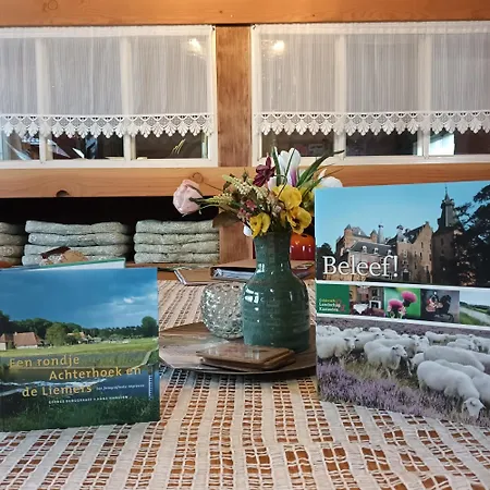 De Langenbrinck Eerlijk Heerlijk Overnachten In Blokhut En Ingerichte Tent Lodge Breedenbroek