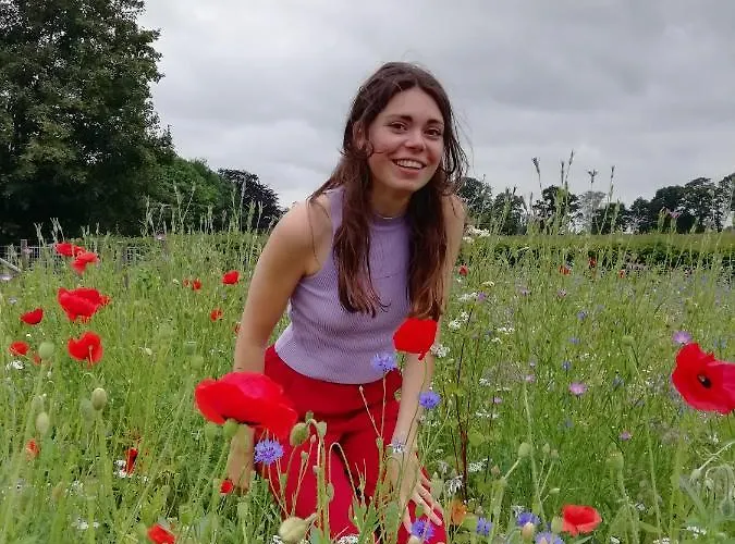 Lodge De Langenbrinck Eerlijk Heerlijk Overnachten In Blokhut En Ingerichte Tent *
