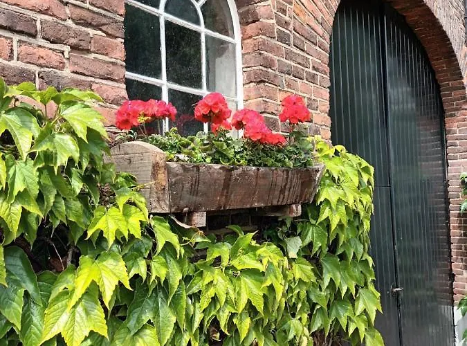Lodge De Langenbrinck Eerlijk Heerlijk Overnachten In Blokhut En Ingerichte Tent Breedenbroek
