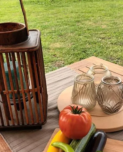 Lodge De Langenbrinck Eerlijk Heerlijk Overnachten In Blokhut En Ingerichte Tent