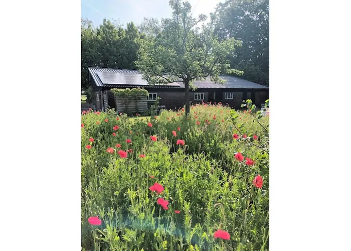 Lodge De Langenbrinck Eerlijk Heerlijk Overnachten In Blokhut En Ingerichte Tent Breedenbroek