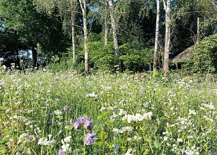 De Langenbrinck Eerlijk Heerlijk Overnachten In Blokhut En Ingerichte Tent Lodge *